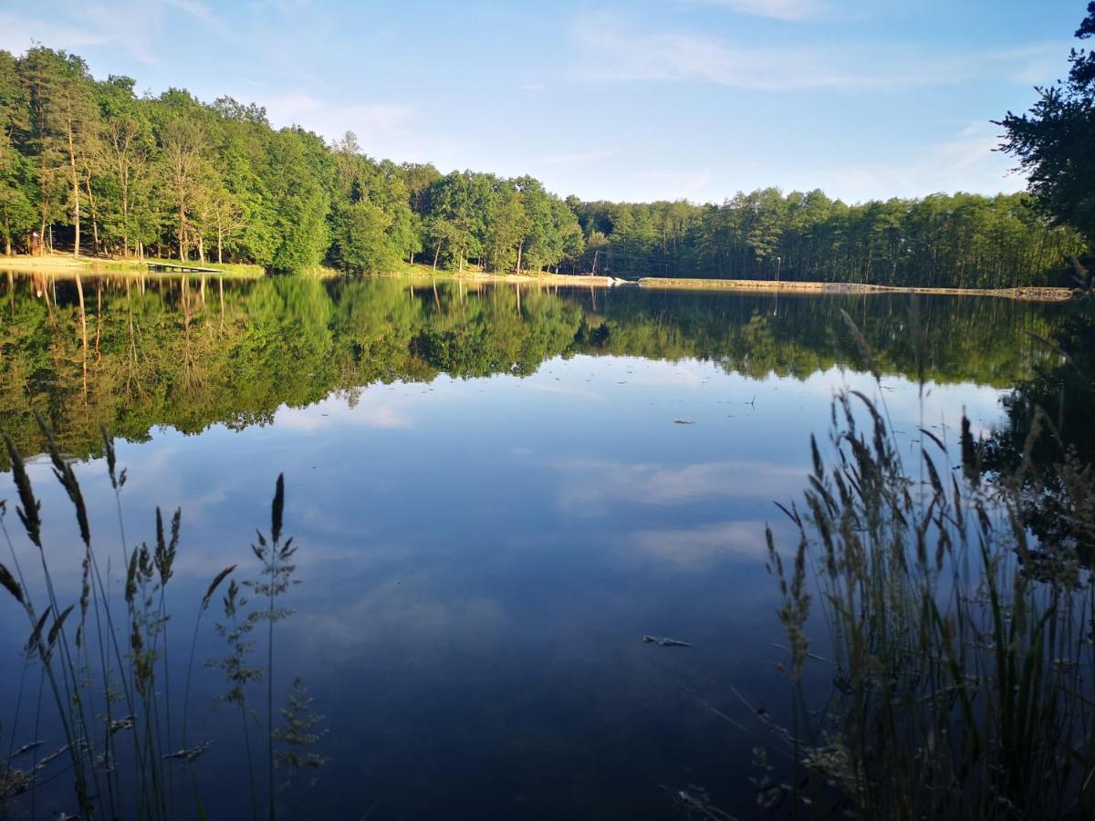 Hegyhátszentjakab Orseg Kincse旅馆 外观 照片